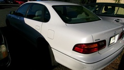 Pacific Auto Auction 2025.01.14.100_0494.JPG