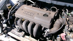 Pacific Auto Auction 2025.01.28.100_0075.JPG