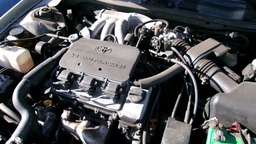 Pacific Auto Auction 2025.01.28.100_0365.JPG