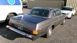 Pacific Auto Auction 2025.01.28.100_0497.JPG