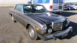 Pacific Auto Auction 2025.01.28.100_0503.JPG