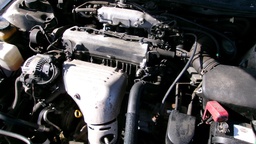 Pacific Auto Auction 2025.02.04.100_0056.JPG