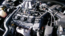 Pacific Auto Auction 2025.02.04.100_0145.JPG