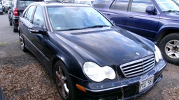 Pacific Auto Auction 2025.02.04.100_0470.JPG
