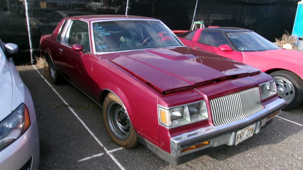 Pacific Auto Auction 2025.02.11.100_0013.JPG