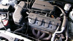 Pacific Auto Auction 2025.02.11.100_0045.JPG
