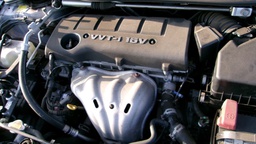 Pacific Auto Auction 2025.02.11.100_0101.JPG
