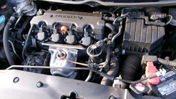 Pacific Auto Auction 2025.02.11.100_0133.JPG