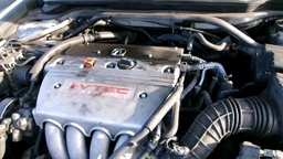 Pacific Auto Auction 2025.02.11.100_0167.JPG