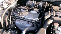 Pacific Auto Auction 2025.02.11.100_0179.JPG
