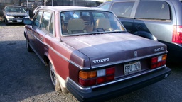 Pacific Auto Auction 2025.02.11.100_0213.JPG