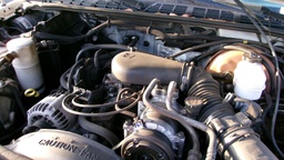 Pacific Auto Auction 2025.02.11.100_0311.JPG