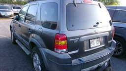 Pacific Auto Auction 2025.02.11.100_0339.JPG