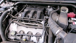 Pacific Auto Auction 2025.02.18.100_0011.JPG