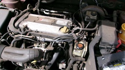 Pacific Auto Auction 2025.02.18.100_0065.JPG