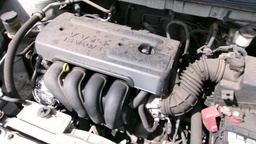 Pacific Auto Auction 2025.02.18.100_0089.JPG