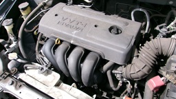 Pacific Auto Auction 2025.02.18.100_0111.JPG