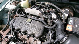 Pacific Auto Auction 2025.02.18.100_0134.JPG