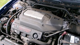 Pacific Auto Auction 2025.02.18.100_0156.JPG