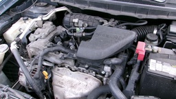Pacific Auto Auction 2025.02.18.100_0167.JPG