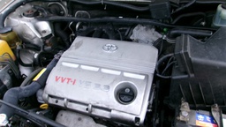 Pacific Auto Auction 2025.02.18.100_0179.JPG