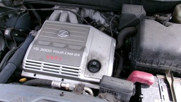 Pacific Auto Auction 2025.02.18.100_0201.JPG