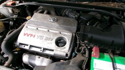 Pacific Auto Auction 2025.02.18.100_0331.JPG