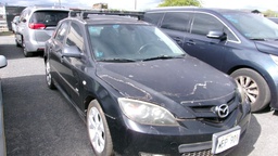 Pacific Auto Auction 2025.02.18.100_0379.JPG