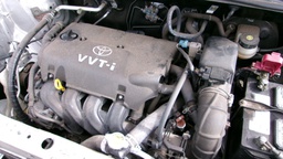 Pacific Auto Auction 2025.02.18.100_0412.JPG