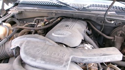 Pacific Auto Auction 2025.02.18.100_0444.JPG
