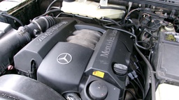 Pacific Auto Auction 2025.02.18.100_0471.JPG