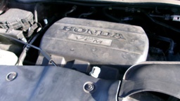 Pacific Auto Auction 2025.02.25.100_0177.JPG