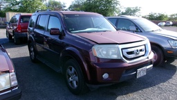 Pacific Auto Auction 2025.02.25.100_0179.JPG