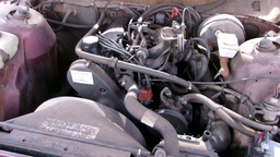 Pacific Auto Auction 2025.03.04.100_0191.JPG