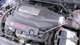 Pacific Auto Auction 2025.03.11.100_0042.JPG