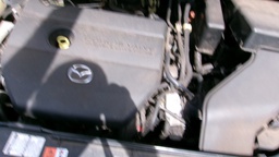 Pacific Auto Auction 2025.03.11.100_0053.JPG