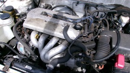 Pacific Auto Auction 2025.03.11.100_0064.JPG