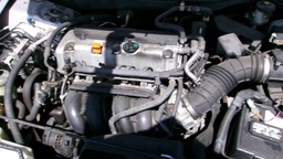 Pacific Auto Auction 2025.03.11.100_0075.JPG