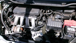 Pacific Auto Auction 2025.03.11.100_0145.JPG