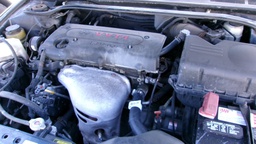 Pacific Auto Auction 2025.03.11.100_0156.JPG