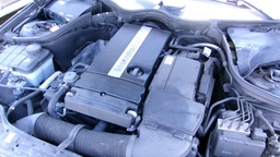 Pacific Auto Auction 2025.03.11.100_0236.JPG