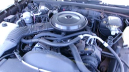Pacific Auto Auction 2025.03.11.100_0279.JPG