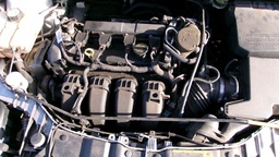 Pacific Auto Auction 2025.03.11.100_0392.JPG