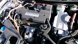 Pacific Auto Auction 2025.03.11.100_0404.JPG