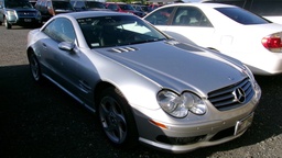 Pacific Auto Auction 2025.03.11.100_0422.JPG