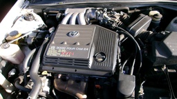 Pacific Auto Auction 2025.03.11.100_0482.JPG