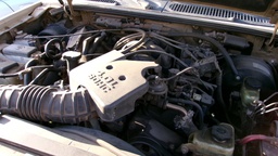 Pacific Auto Auction 2025.03.11.100_0615.JPG