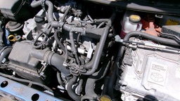 Pacific Auto Auction 2025.03.18.100_0057.JPG