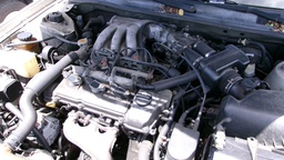 Pacific Auto Auction 2025.03.18.100_0066.JPG