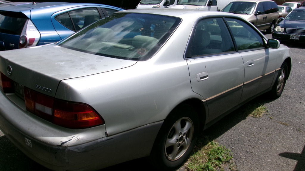 Pacific Auto Auction 2025.03.18.100_0071.JPG